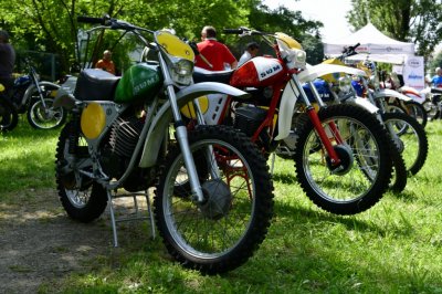 La Festa